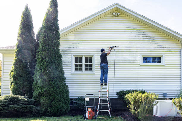 Spring Cleaning in Carrollton, VA